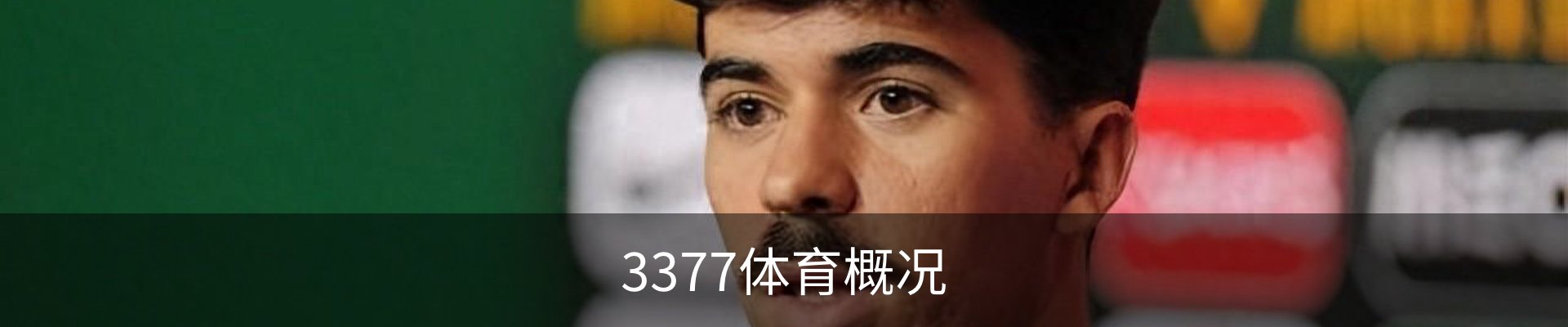 3377体育概况